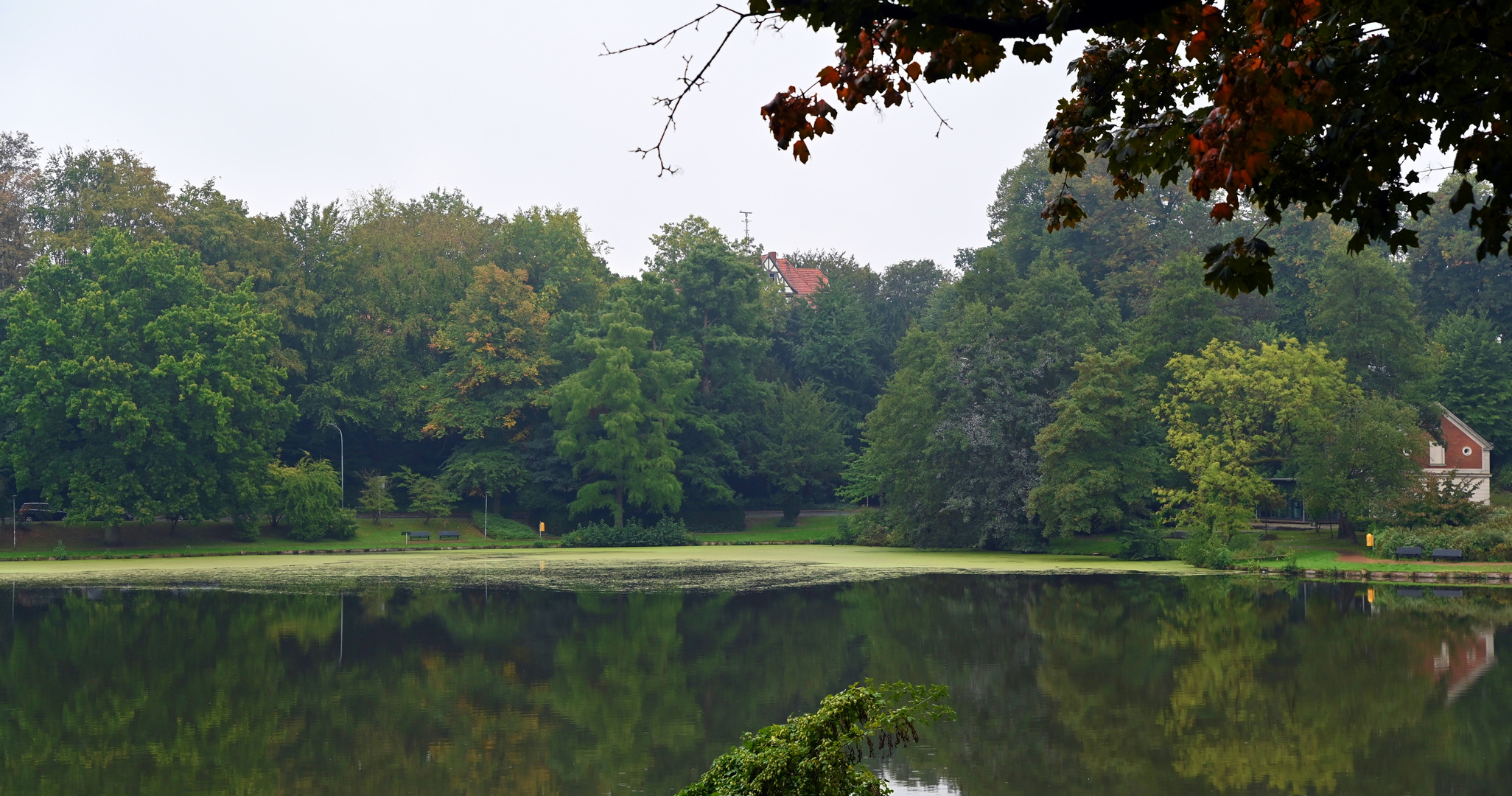 Es wird Herbst am Mühlenteich in Lübeck