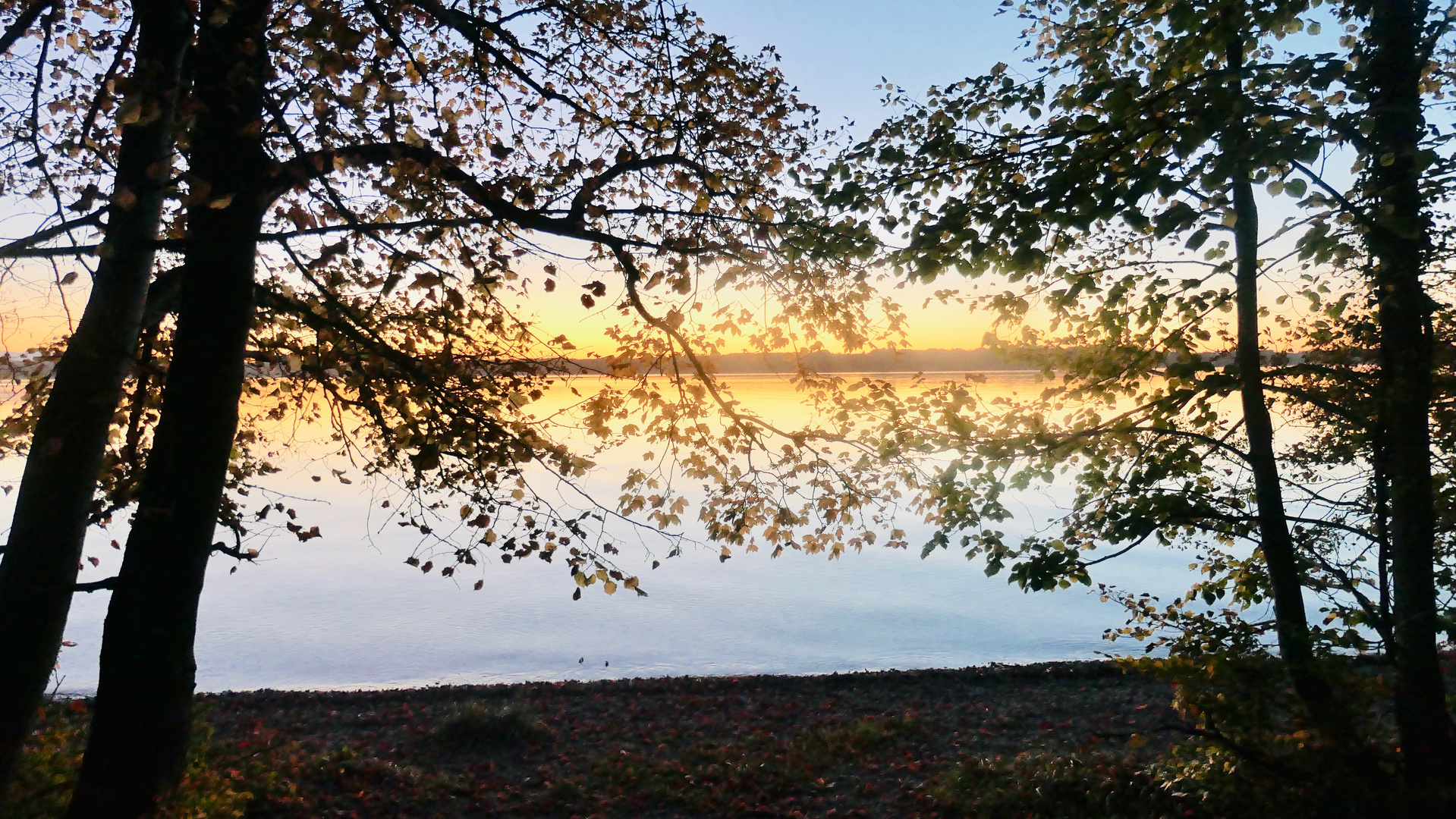 Es wird Herbst am See