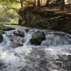 Es wird Herbst an der Selke