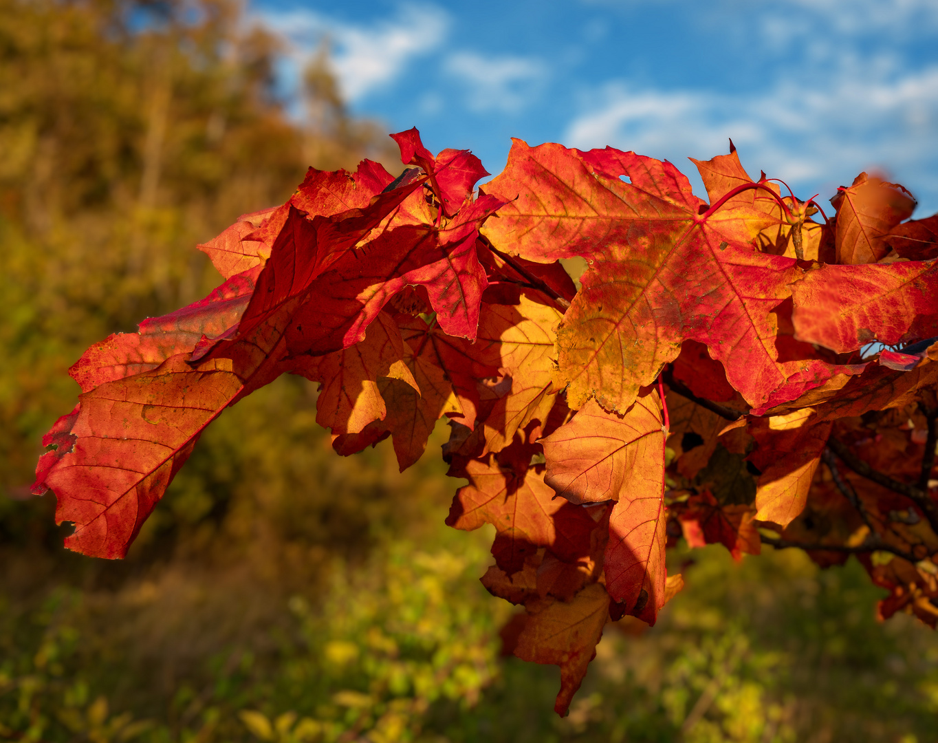 Es wird Herbst!