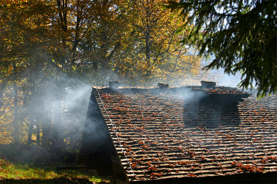 Es wird Herbst