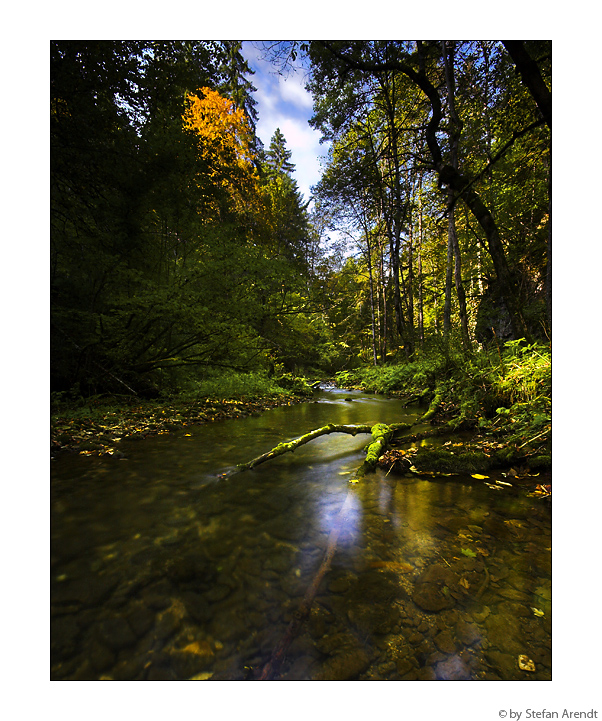 Es wird Herbst