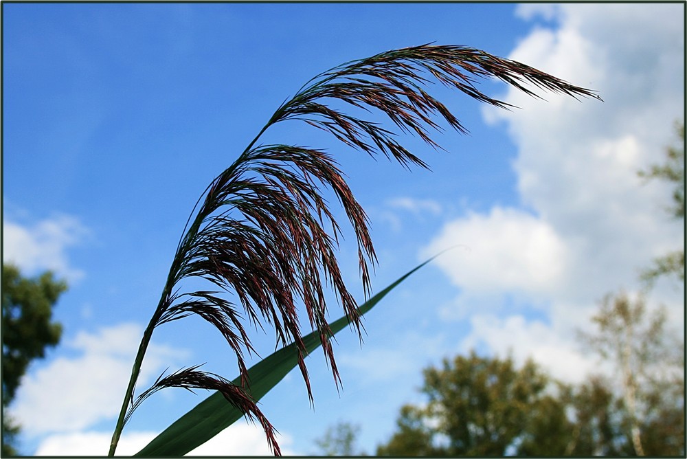 Es wird Herbst