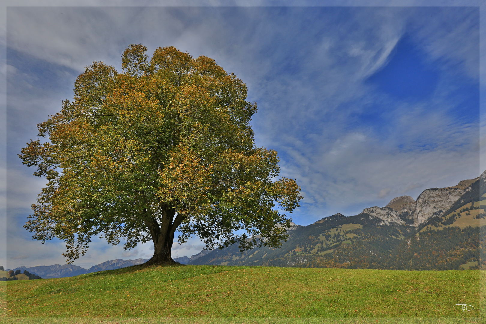 es wird Herbst