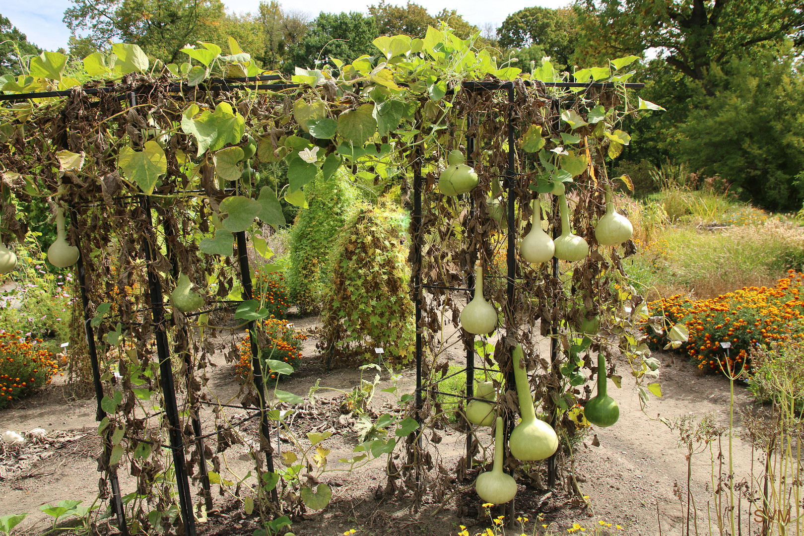 Es wird Herbst