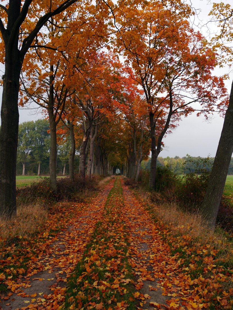 Es wird Herbst