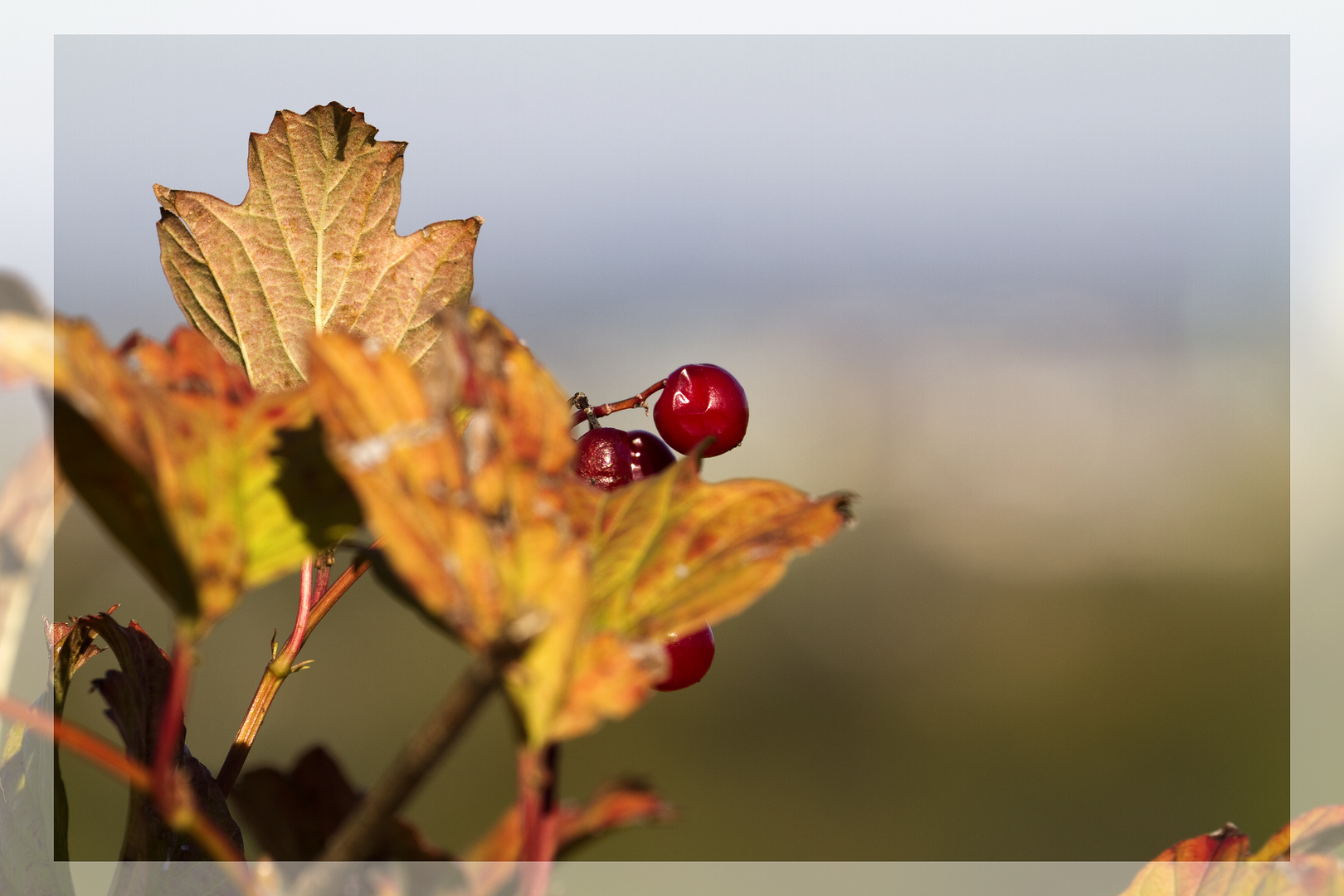 Es wird Herbst.......