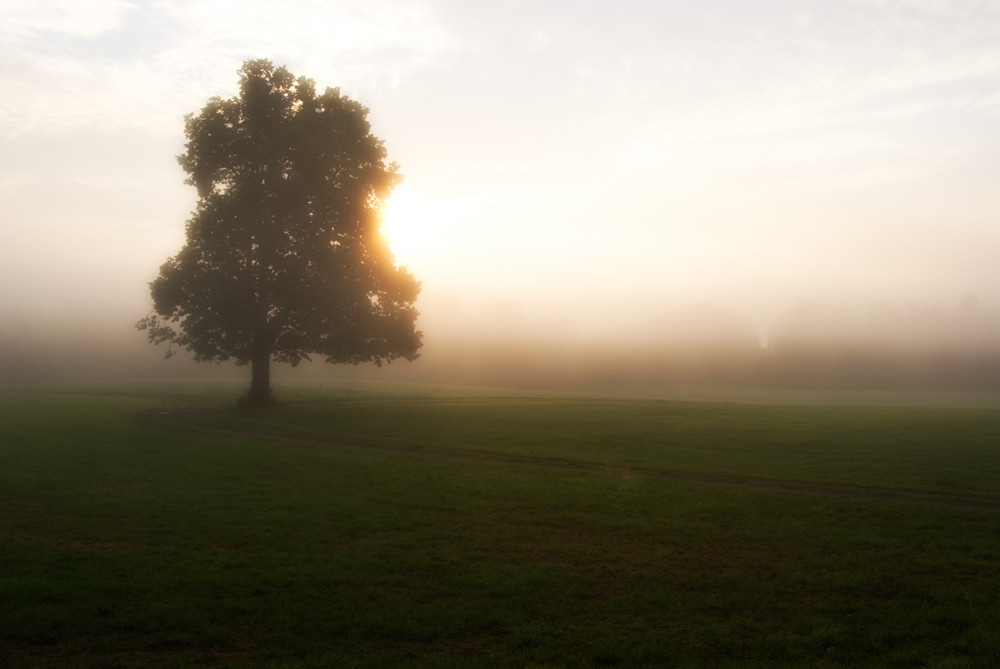 Es wird Herbst