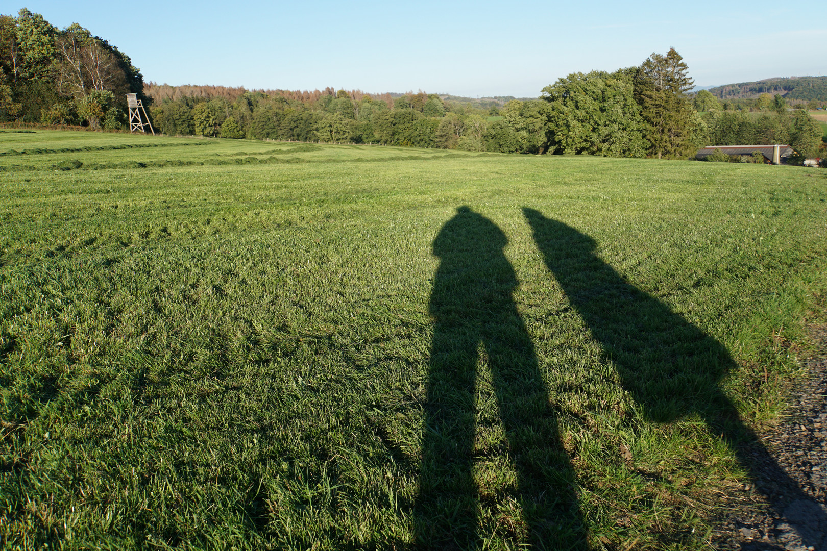 Es wird Herbst - Die Schatten werden länger