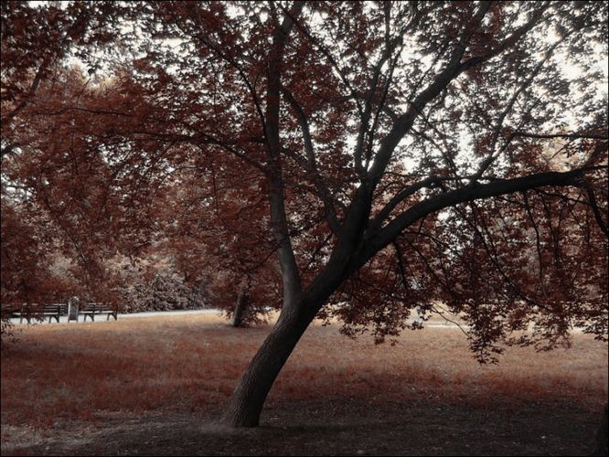 Es wird Herbst...