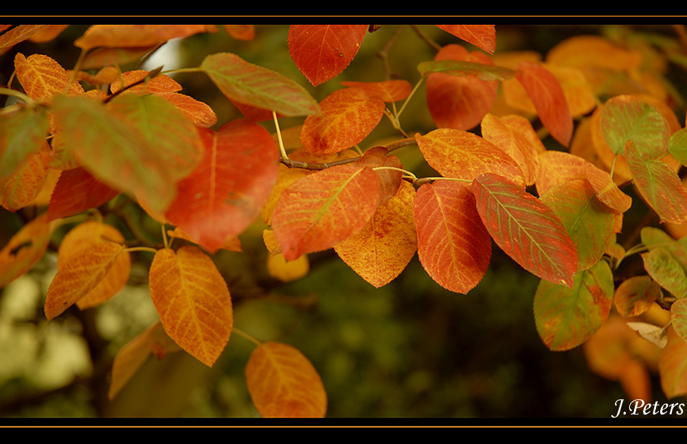 Es wird Herbst