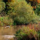 Es wird Herbst