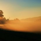 Es wird Herbst - erste Nebel in der Früh