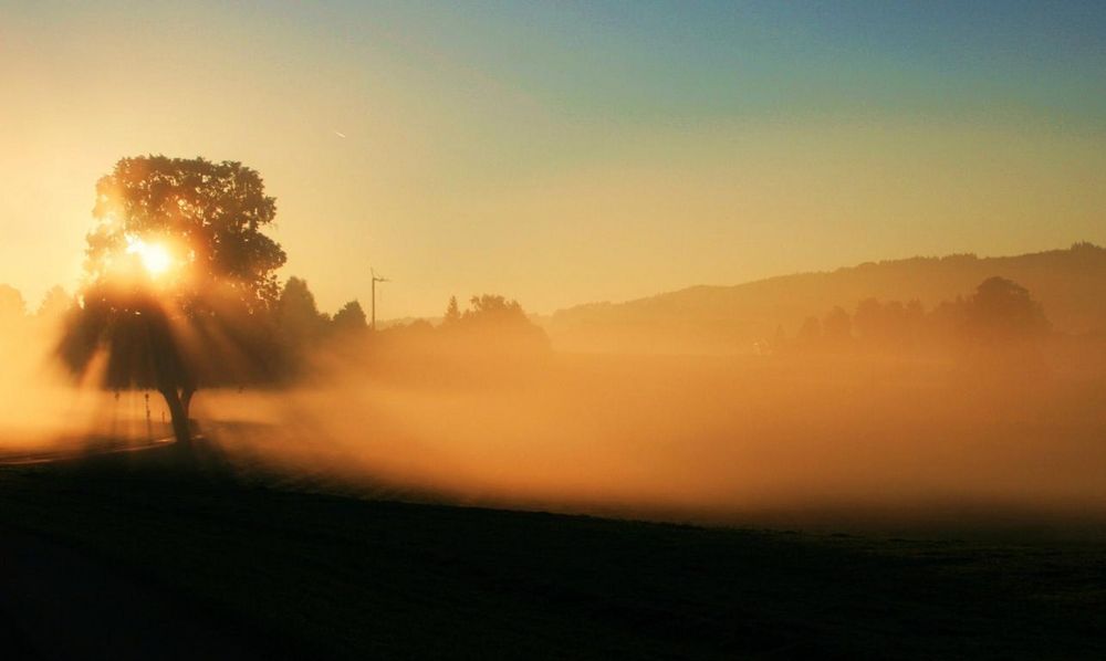 Es wird Herbst - erste Nebel in der Früh