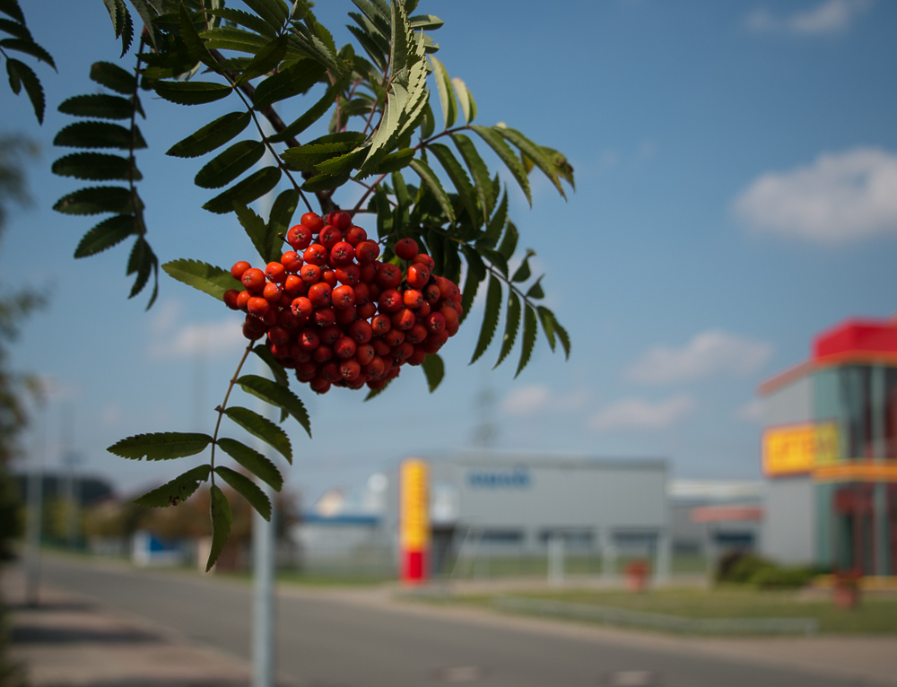 Es wird Herbst