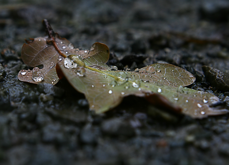 Es wird Herbst