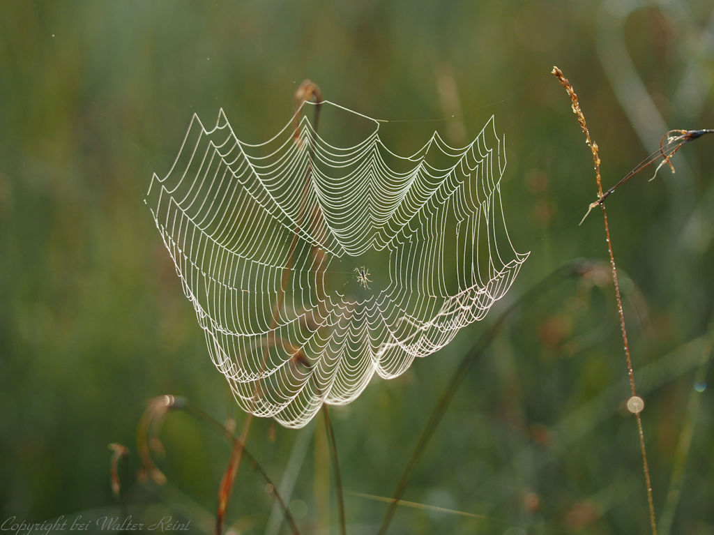 Es wird Herbst.....