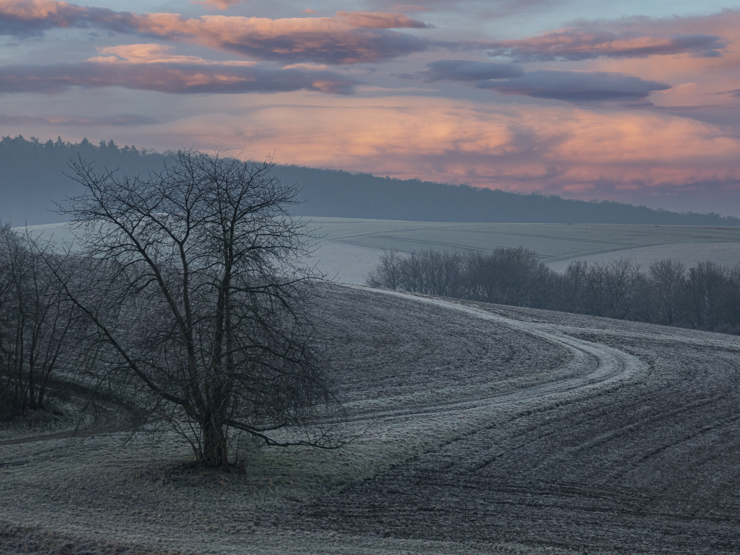 Es wird Herbst