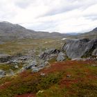 Es wird Herbst im Fjäll...