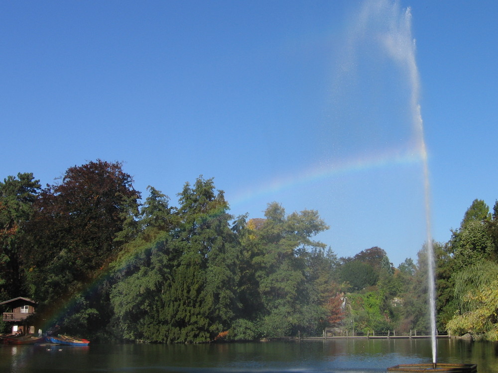 Es wird Herbst im Palmengarten