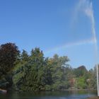 Es wird Herbst im Palmengarten