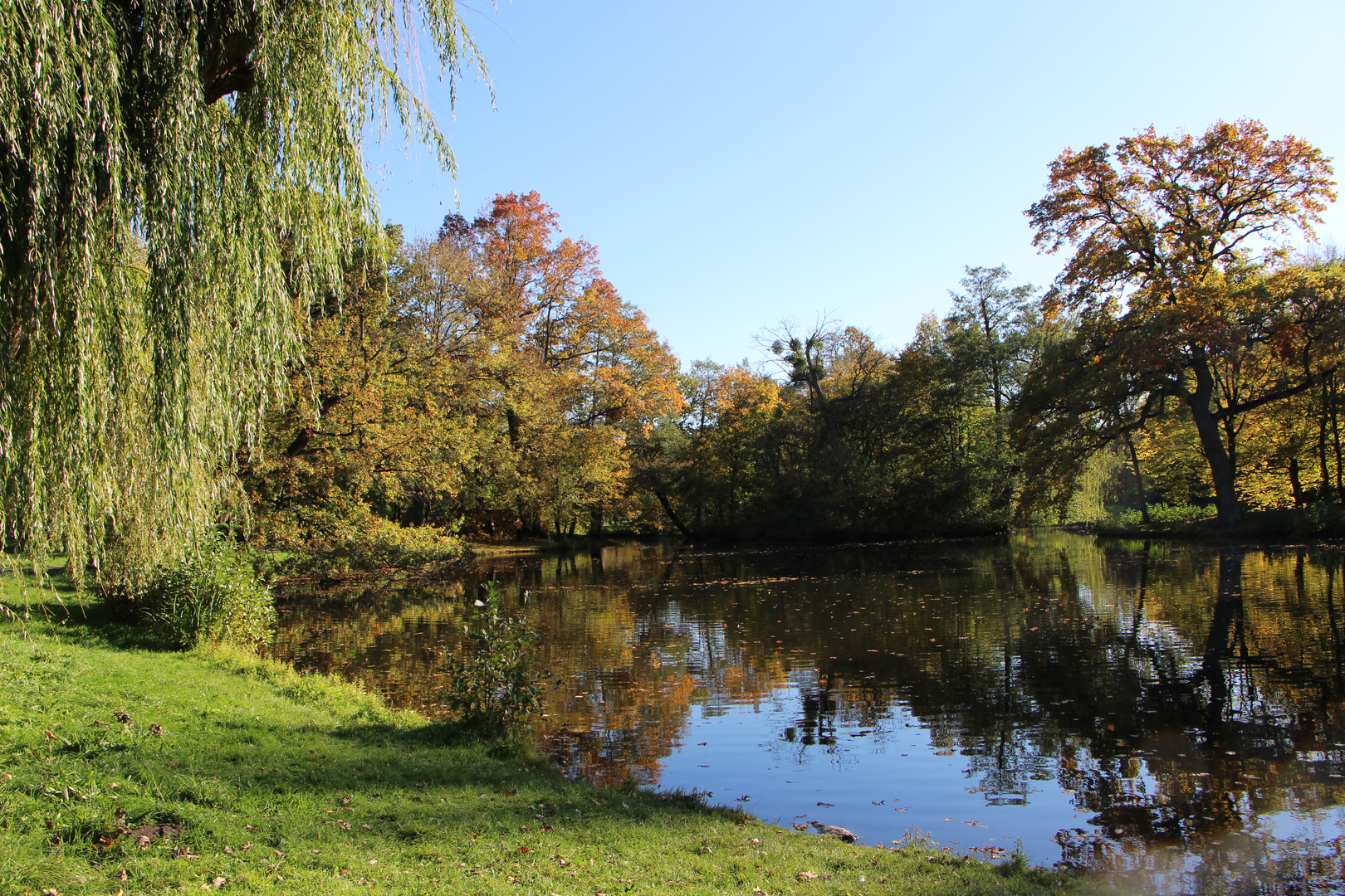 Es wird Herbst im Park