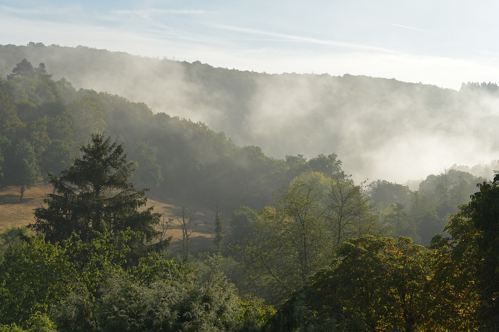 Es wird Herbst im Taunus:  Erster Nebel 01