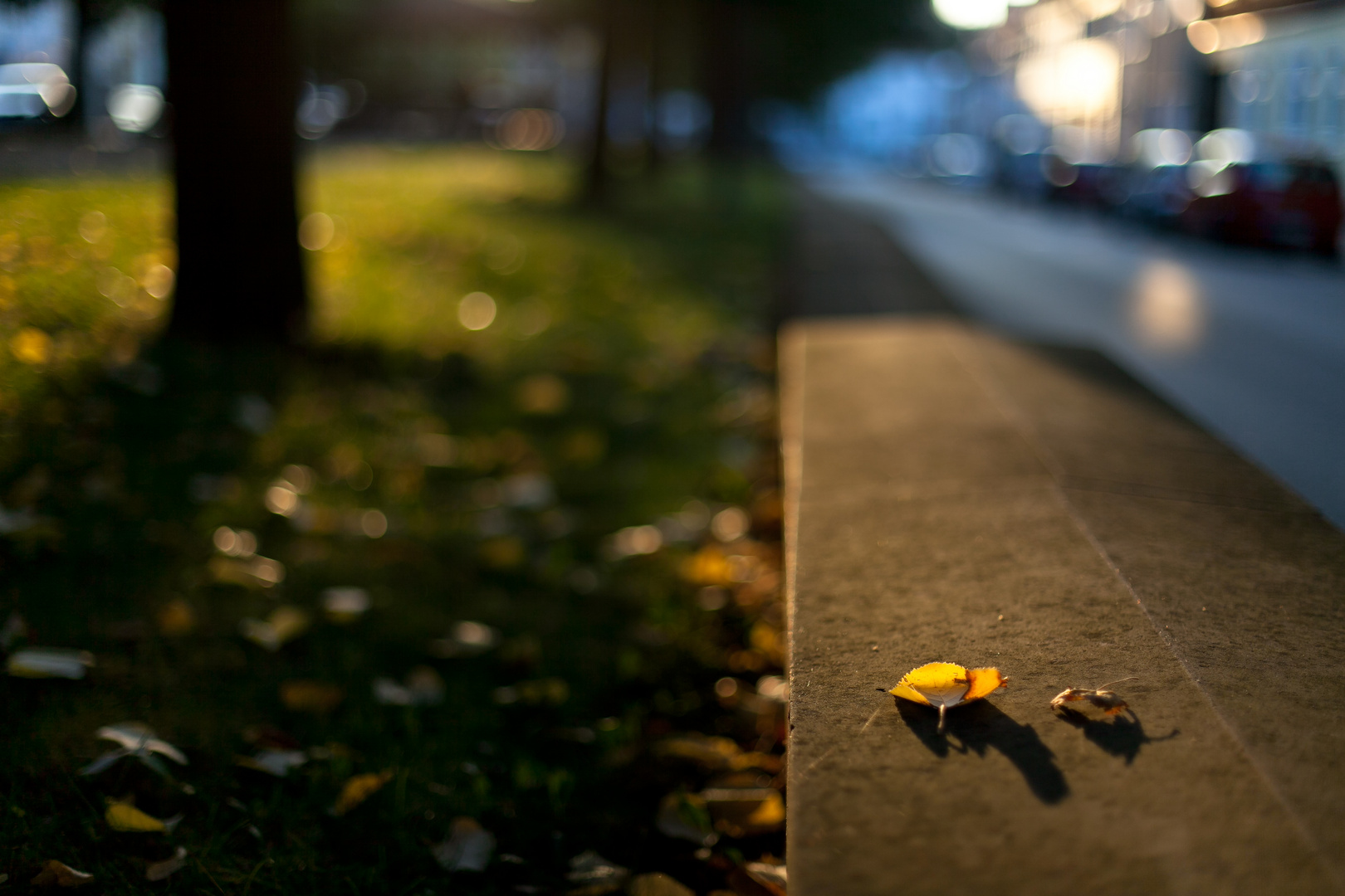 Es wird Herbst in der Stadt