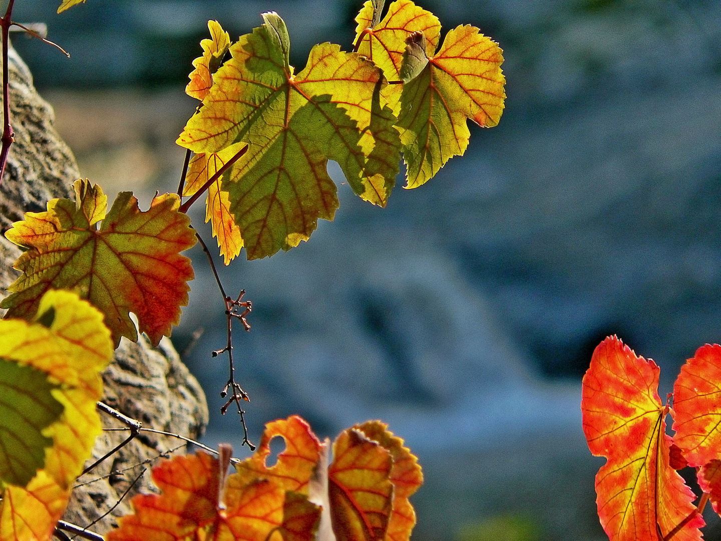 es wird Herbst in Griechenland