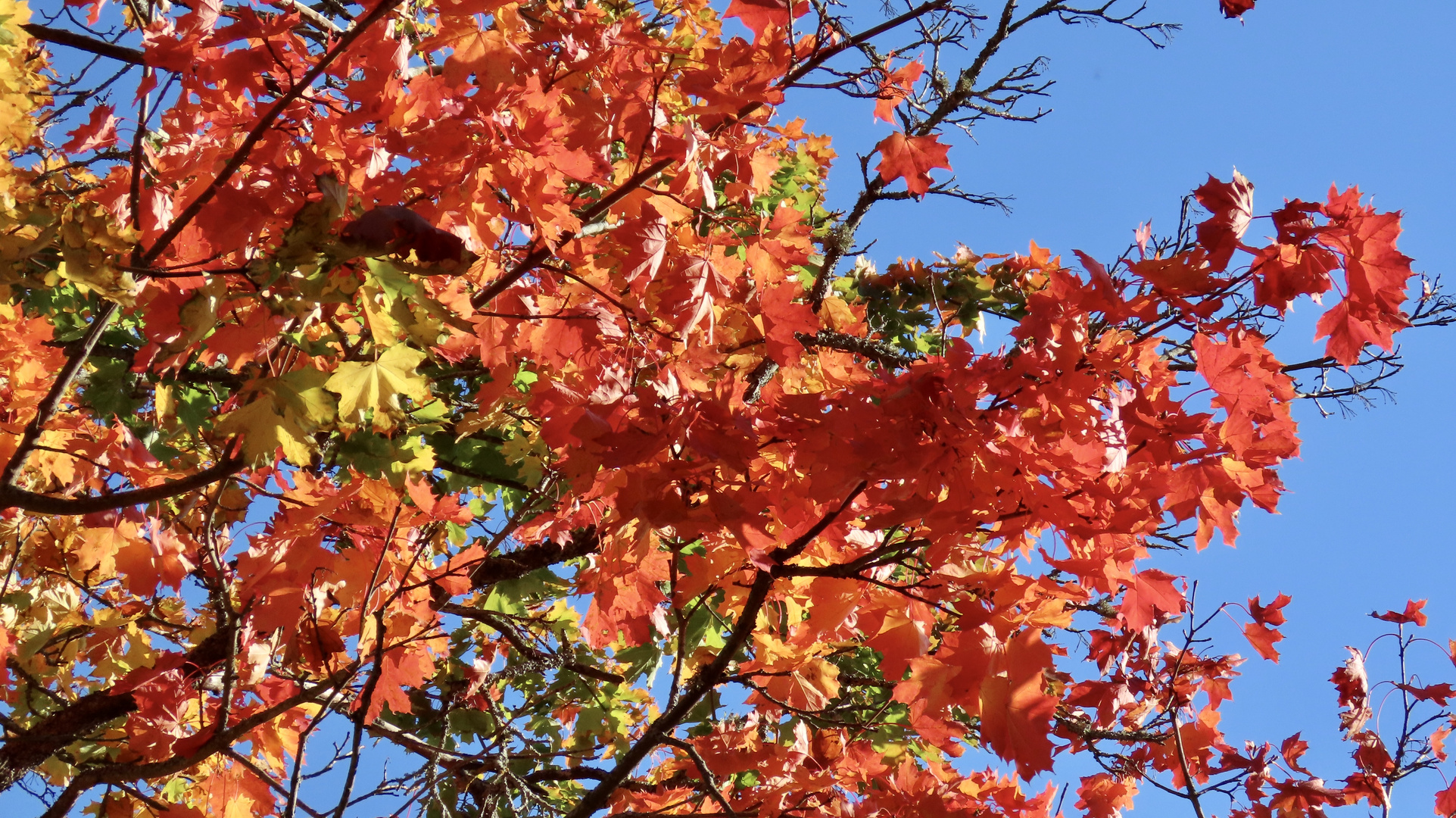 Es wird Herbst in Östergötland........