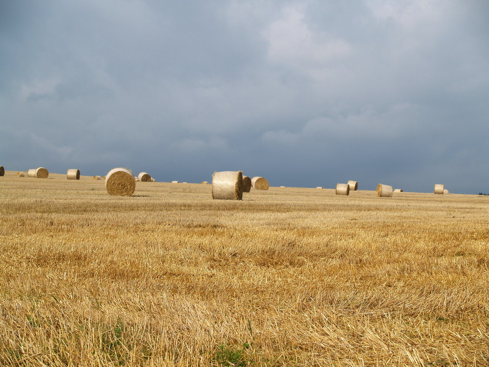 ...es wird Herbst in Thüringen..