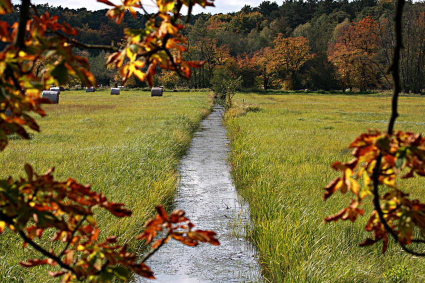 Es wird Herbst, langsam aber sicher!