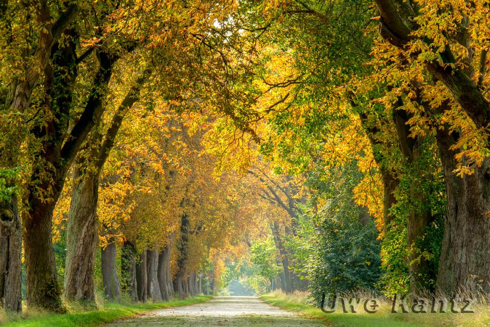 Es wird herbstlich