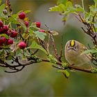  Es wird herbstlich   . . .