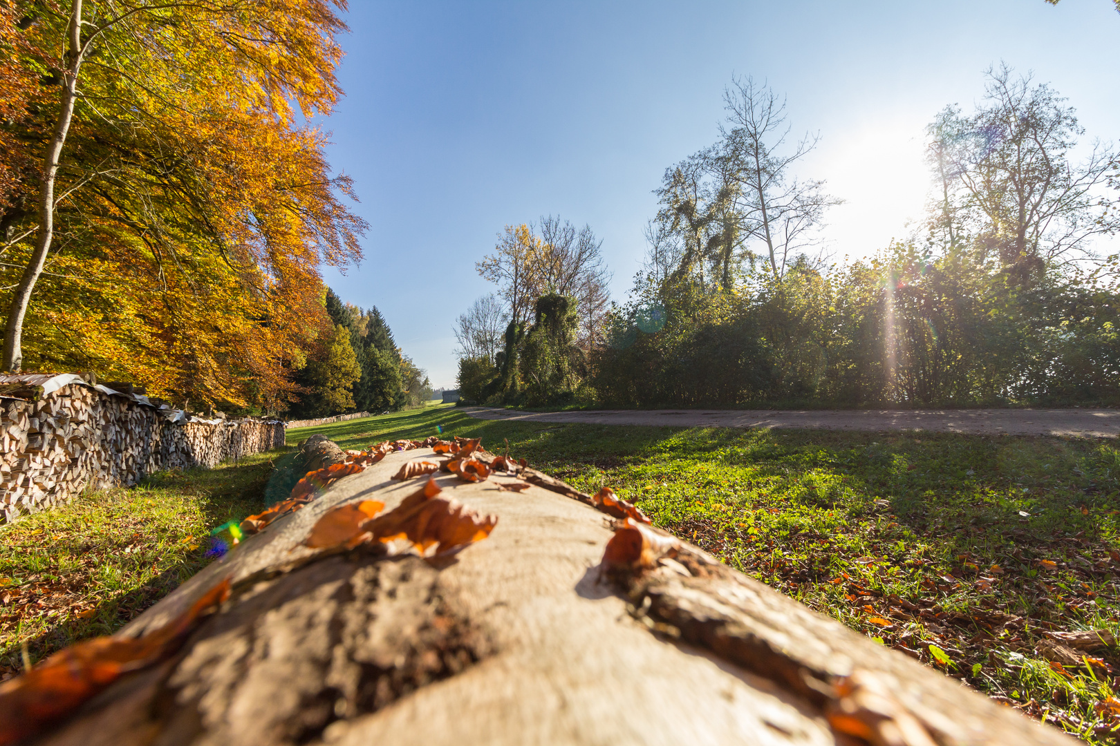 Es wird herbstlich