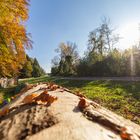 Es wird herbstlich