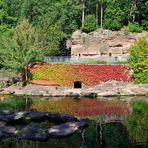 Es wird herbstlich im Aquapark (Reload)