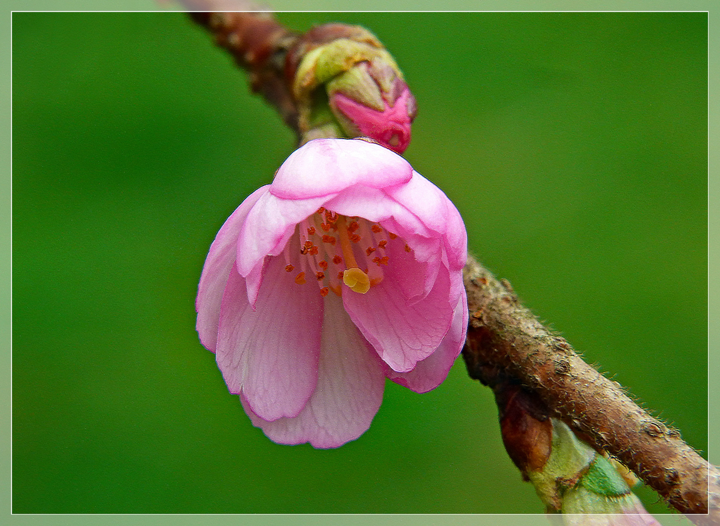 Es wird jeden Tag schöner in der Natur