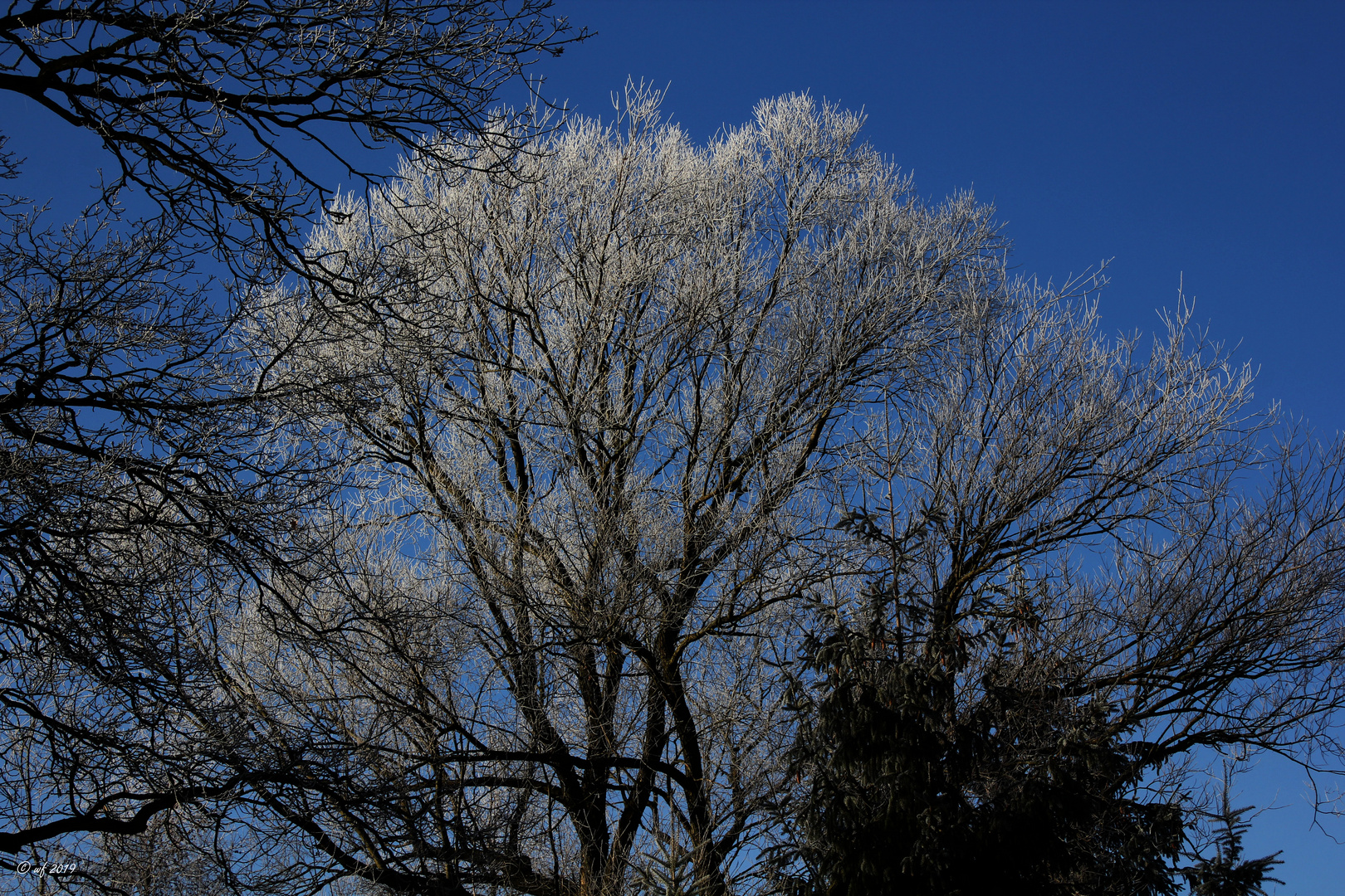 Es wird kälter Foto & Bild | landschaft, jahreszeiten, winter Bilder