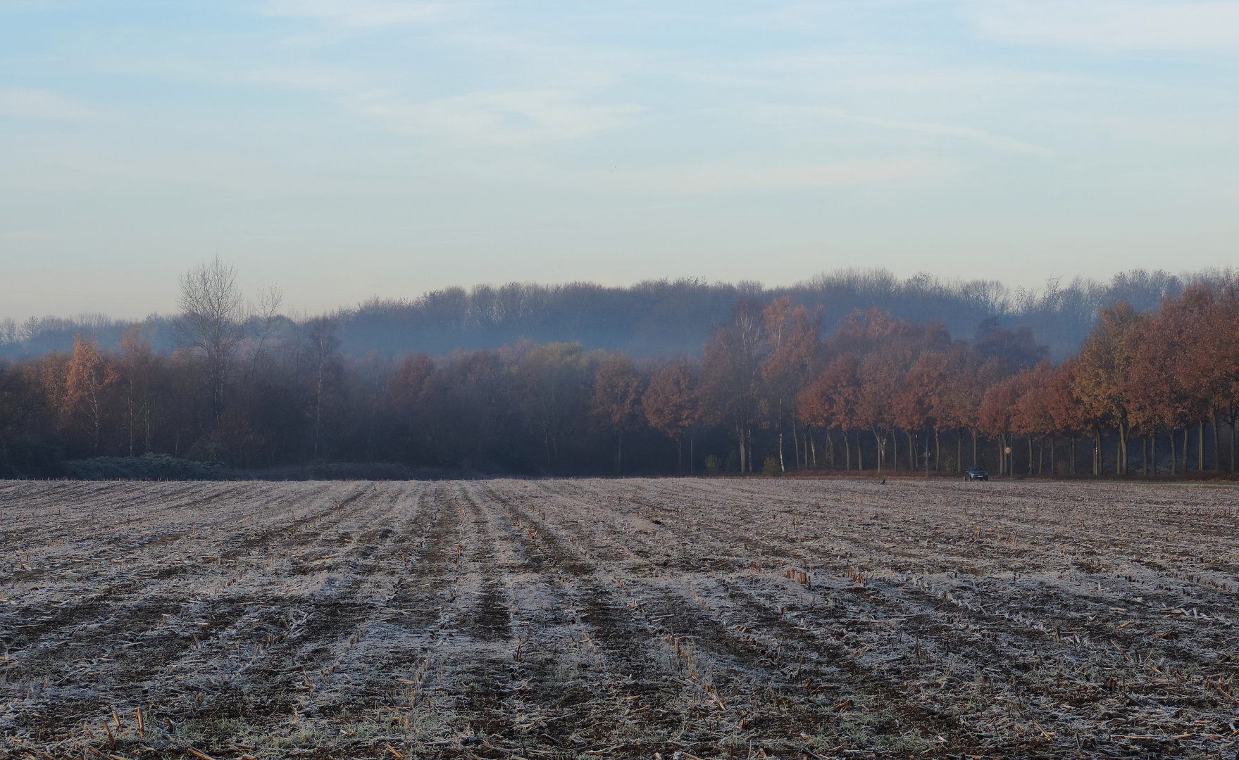 Es wird kalt..........# Foto & Bild | macro nature, winter ...