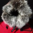 Es wird Kalt - Canada Goose Resolute Parka, ideal für extreme Expedition