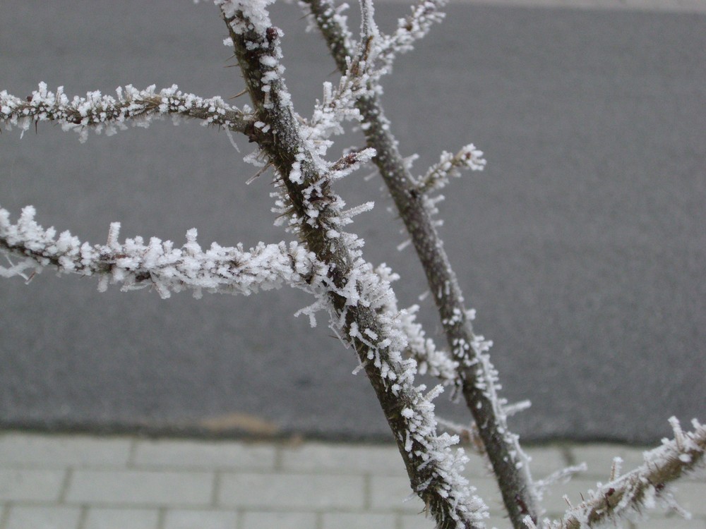 es wird kalt im Norden...