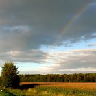 Es wird langsam bunt