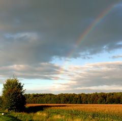 Es wird langsam bunt