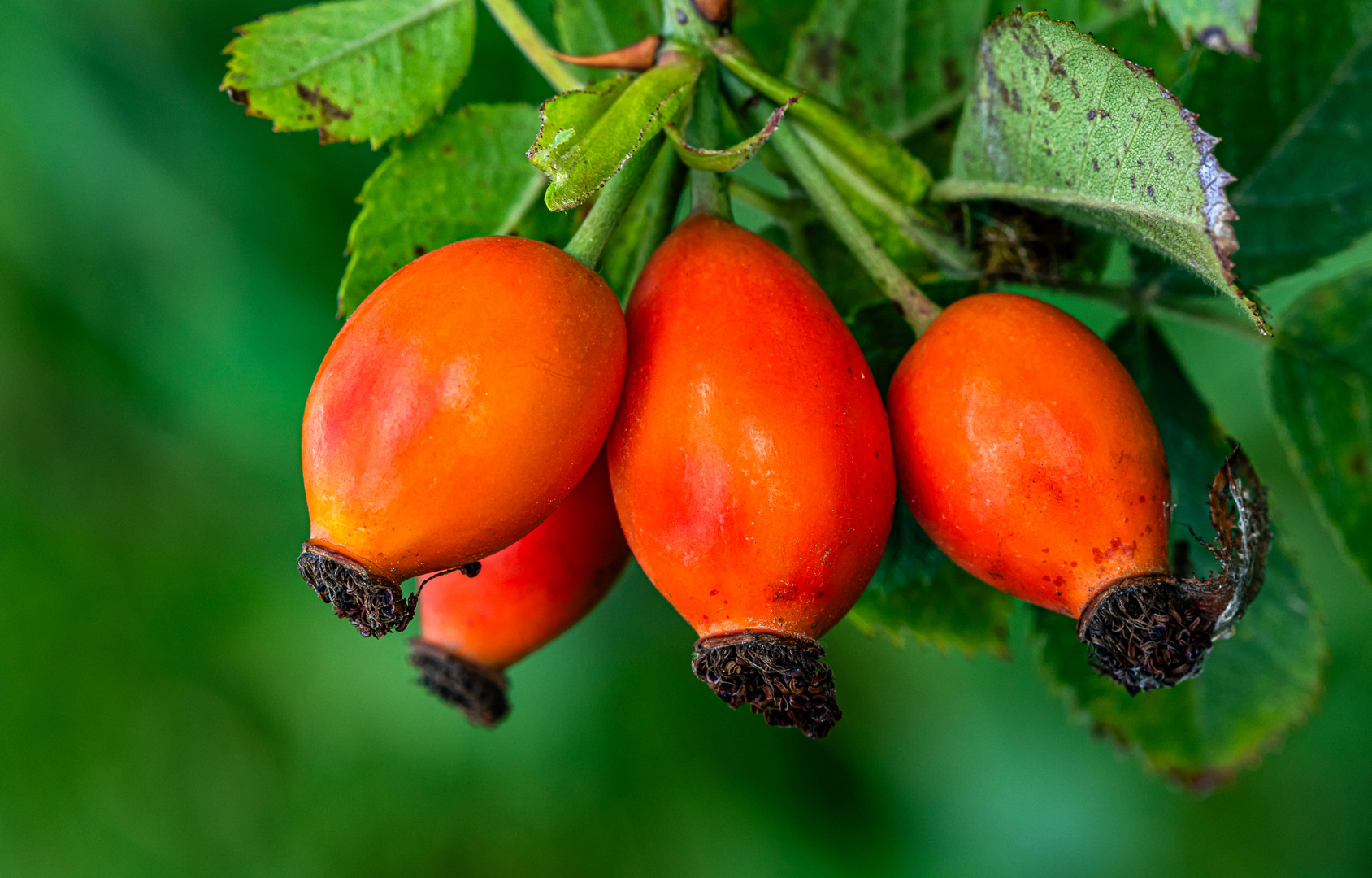 Es wird langsam bunt