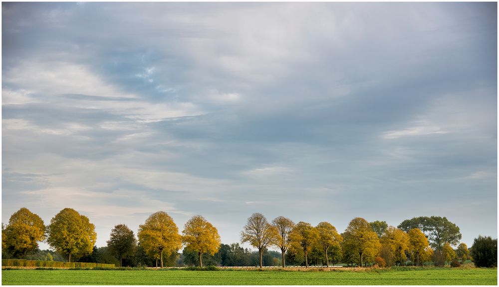 es wird langsam bunt