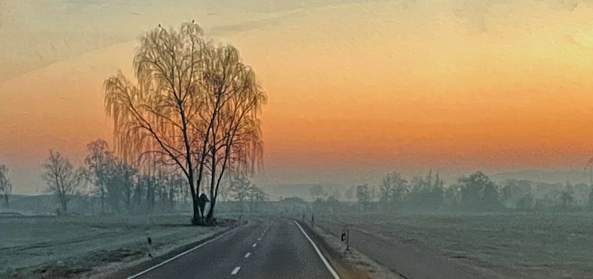 Es wird langsam heller morgens