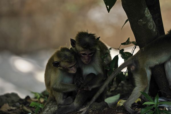 Es wird langsam kalt