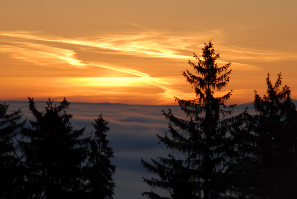 Es wird Morgen über dem Nebel