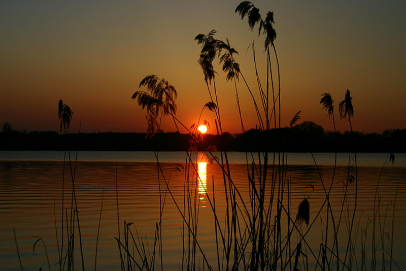 es wird Nacht bei uns im Spreewald..........